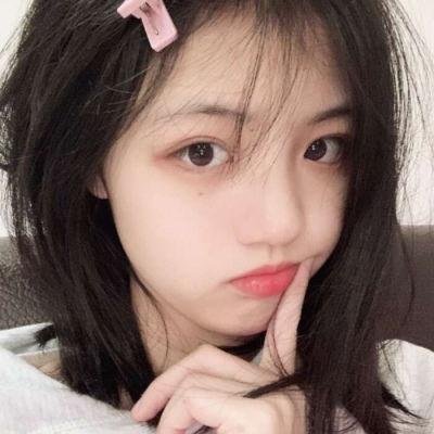 动物宝宝